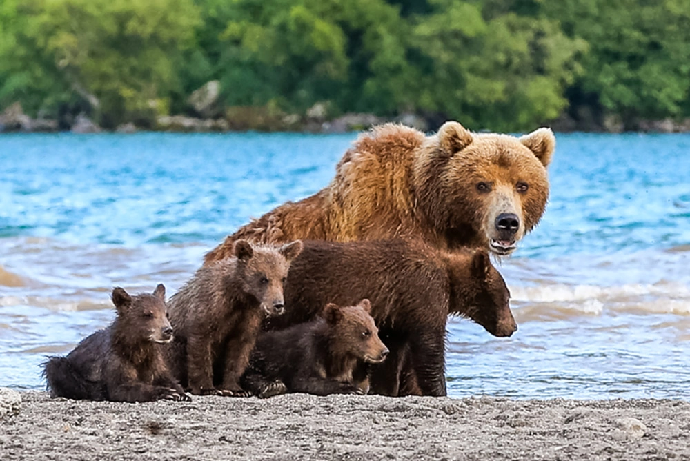 Заботливая природа.