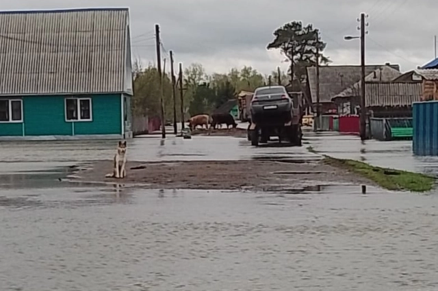 Вода отступает.