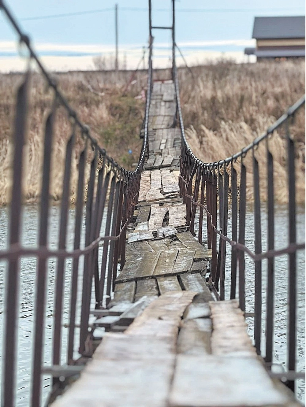 Осенью 2025 года мост между деревнями Медведково и Осовые был таким.