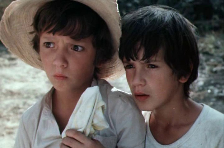 Егор Дружинин и Дмитрий Барков в фильме «Приключения Петрова и Васечкина, обыкновенные и невероятные»