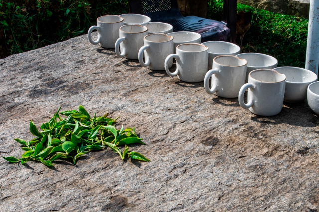 Сегодня чай доступен каждому, причем в изобилии виды на любой вкус, цвет и кошелек. 