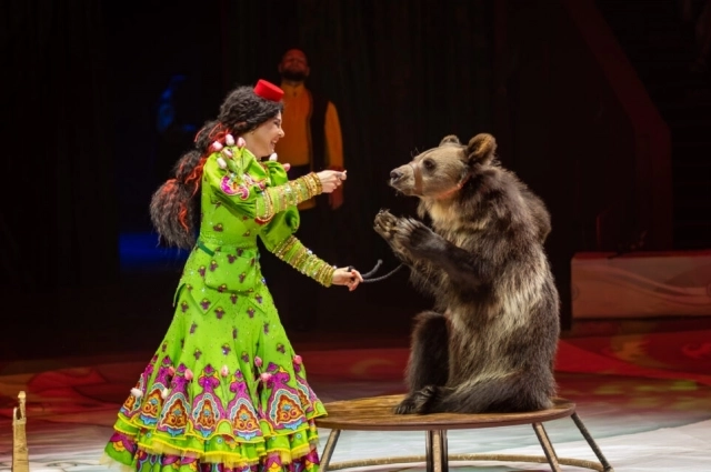 Общественники и зоозащитные организации годами пытаются добиться законодательного запрета на использование животных в цирках.