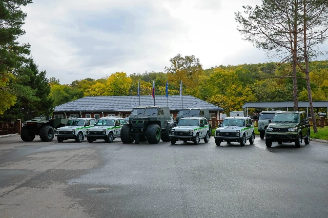 Памятник двум тигрятам