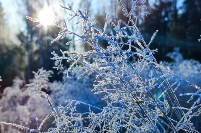 На Сергеев день зима вступает в свои права.