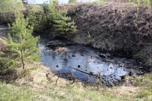 Территория заброшенного завода не охраняется. Большая часть забора разрушена, зайти туда может кто угодно.