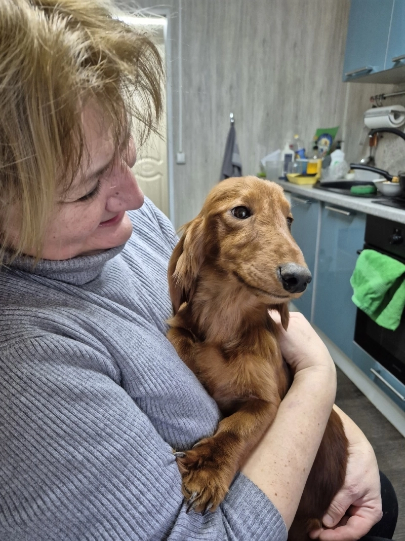 Многие, кто учачствовал в поиске, найденных собак забрали себе