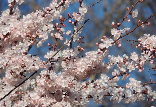 Невозможно оторвать взгляд!