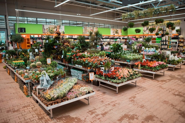 В магазине огромный выбор растений.