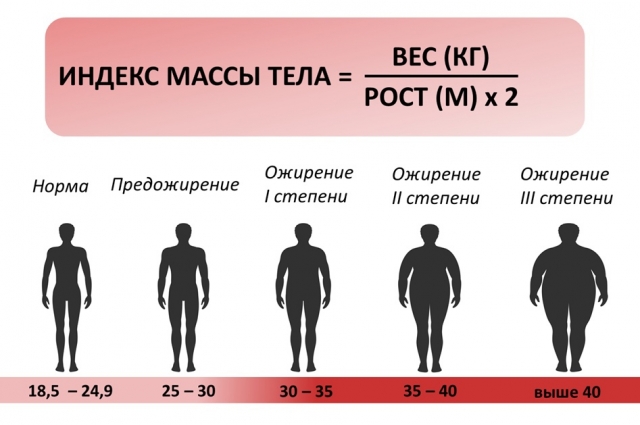 Расчёт индекса массы тела.