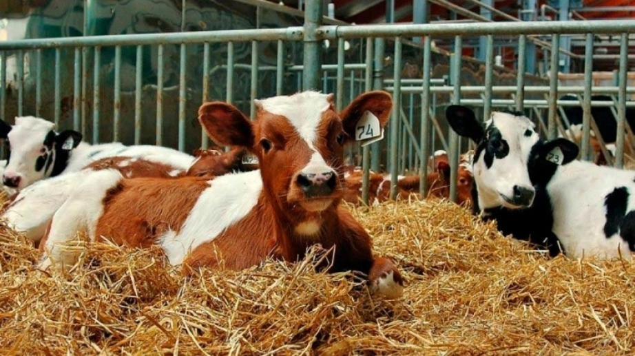 По информации татарстанских властей, ситуация находится под контролем.