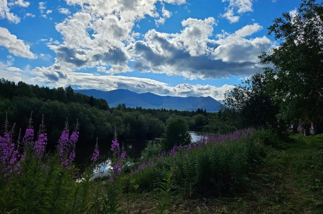 Кордон «Лыпья», где живёт семья Смирновых.