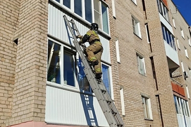 Пожарный на трёхколонной лестнице.