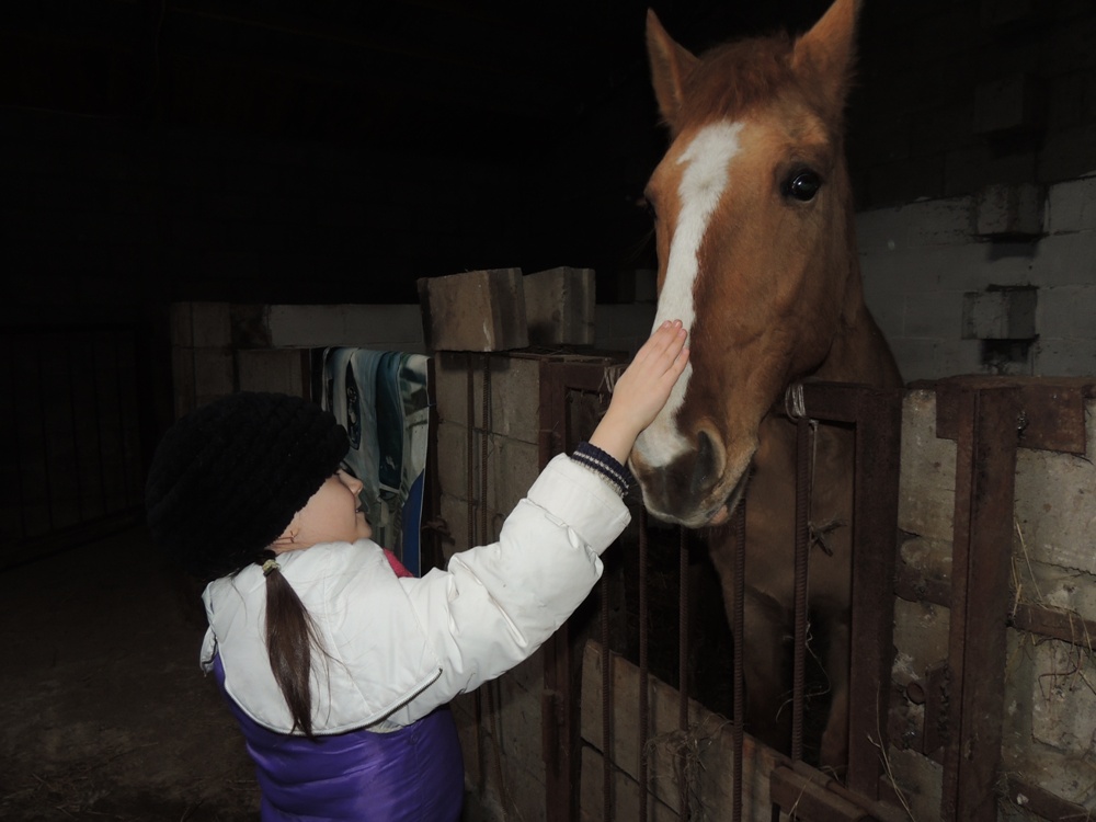 Фото для иллюстрации.