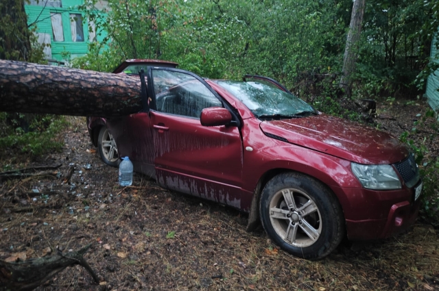 Машину на турбазе в Лаишево деревом словно разрубило пополам.