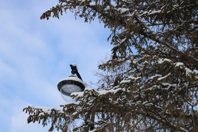 17 ноября особое внимание обращали на погоду.
