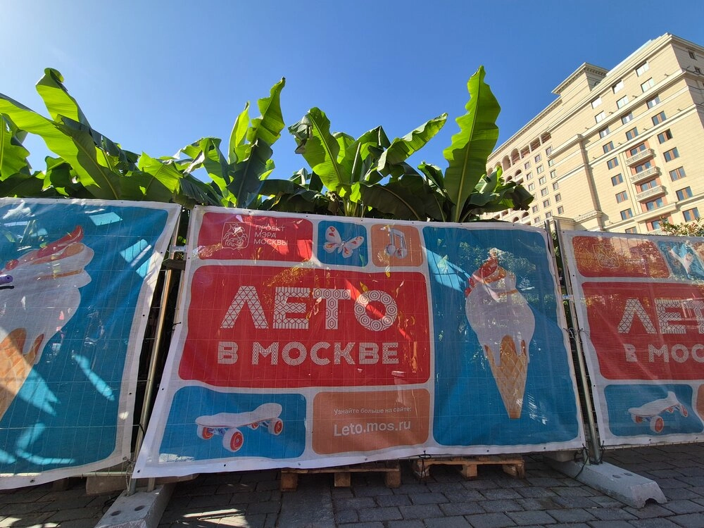 Сады и цветы, манежная площадь, пальмы