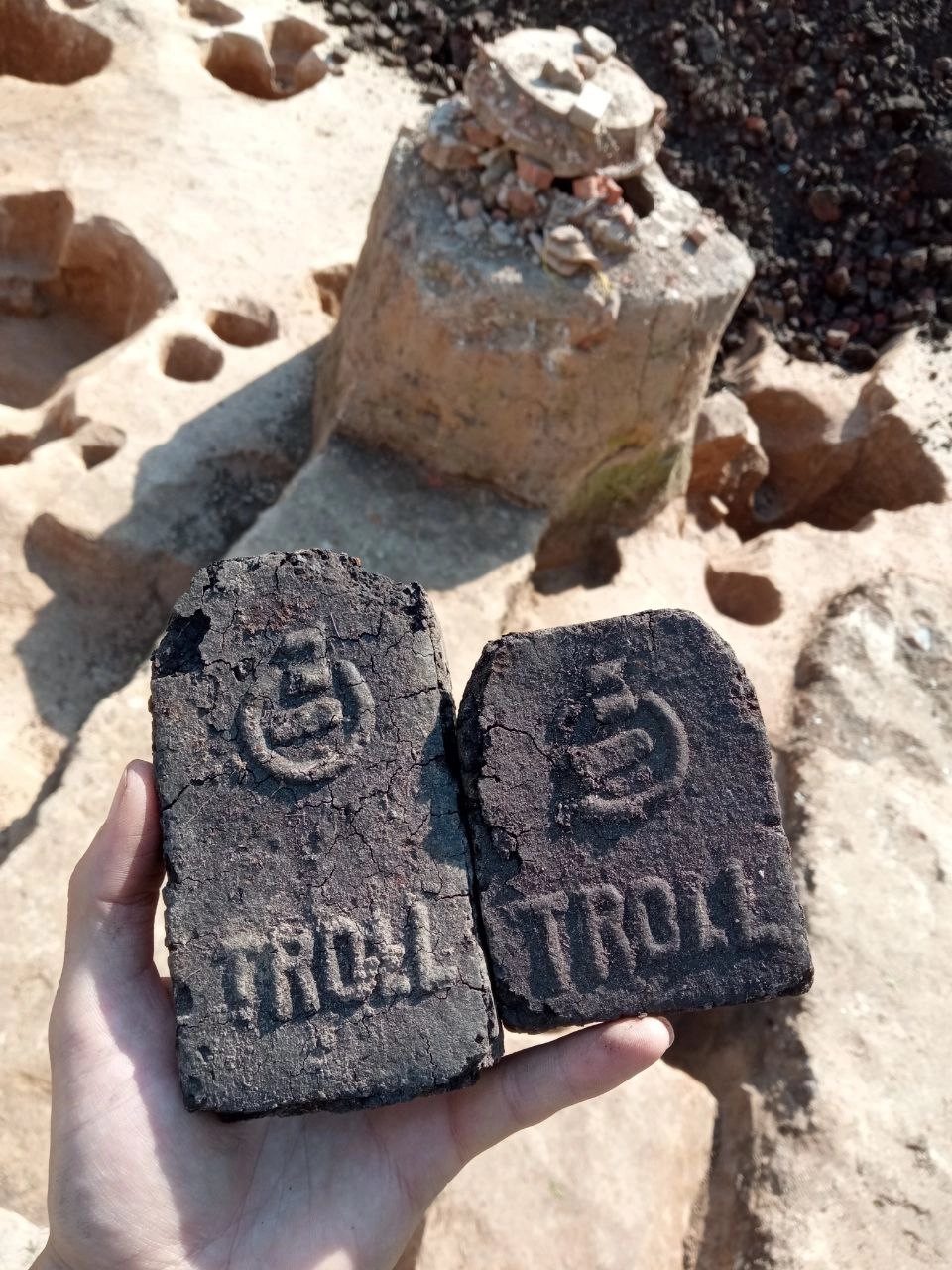 Немецкие топливные брикеты из торфа.