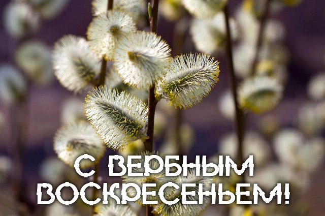 Вербное воскресенье