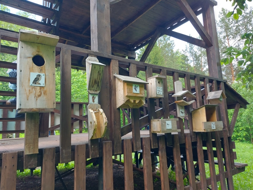 Липовая гора