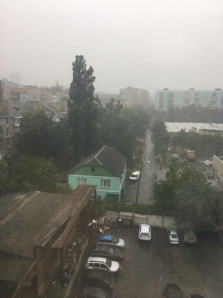 тормента