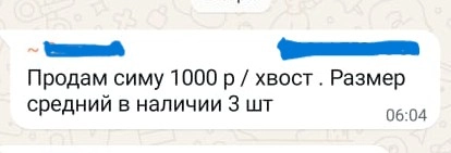 Объявление о продаже симы