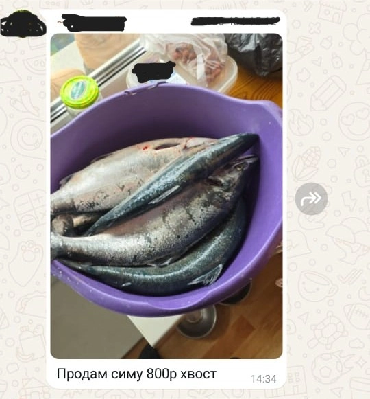 Объявление о продаже симы