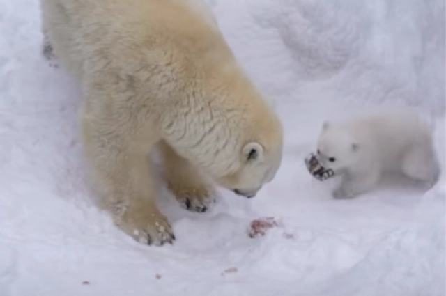 Малыш уже вовсю играет