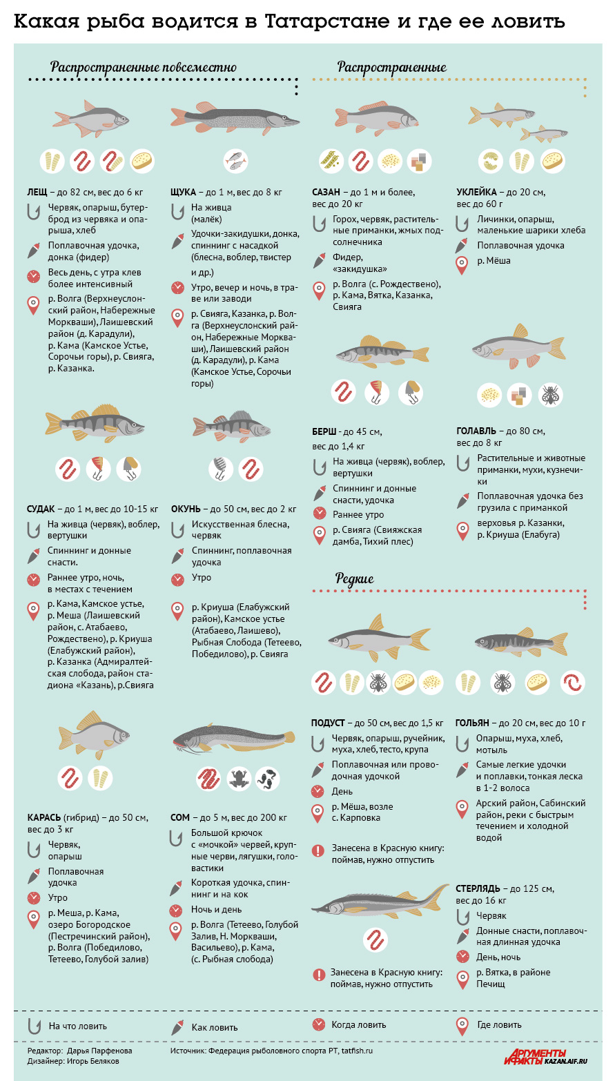 рыба инфографика