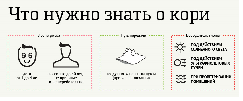 корь инфографика 