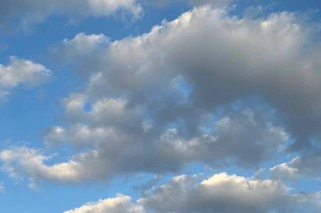 Белые облака 27 января - к морозу.