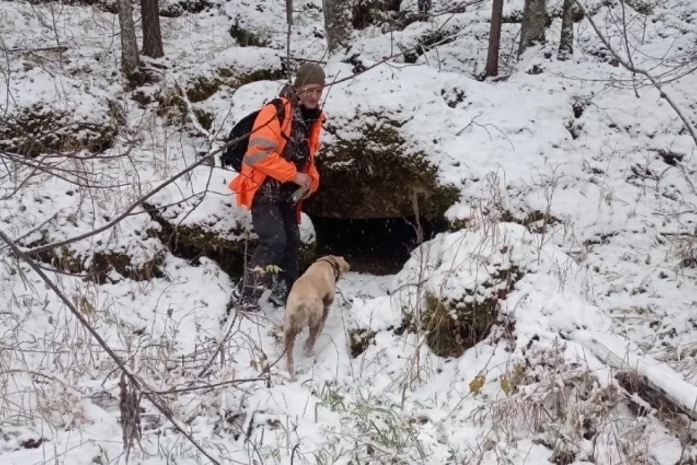 Медвежья берлога найденная при поиске Усольцевых.