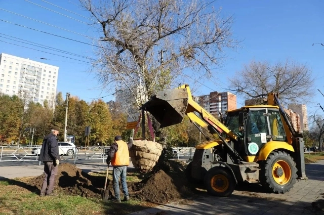 Высадка новых деревьев в Самаре началась осенью.