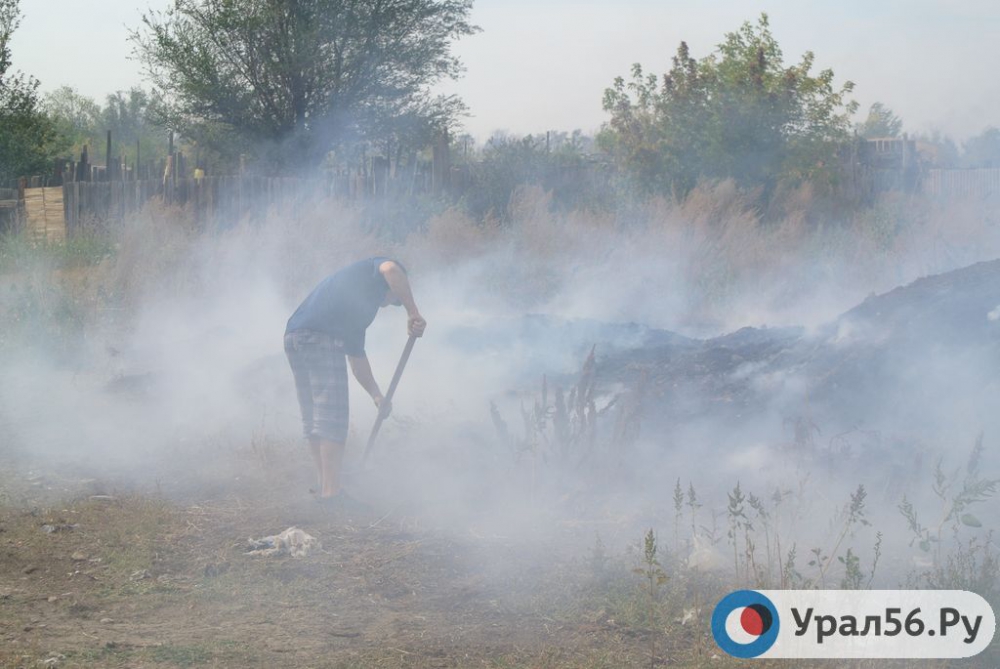 Пожар у села Горьковское в Новоорском районе.