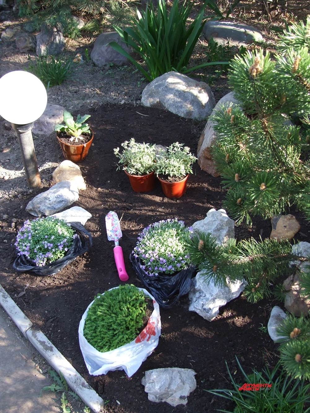 Альпинарий сделать несложно.