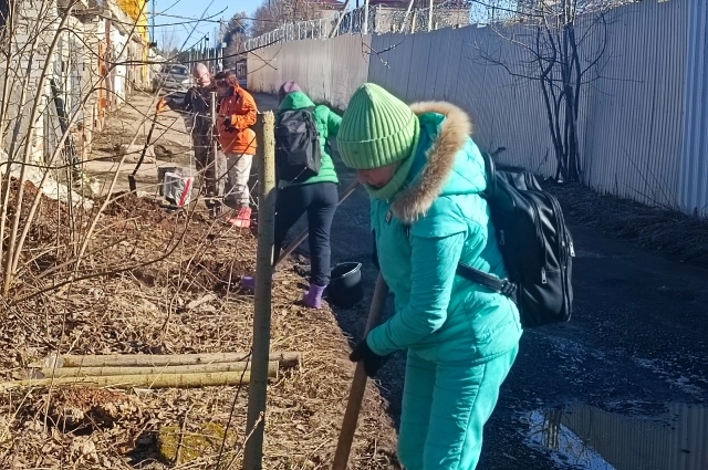 Жабий патруль в действии.