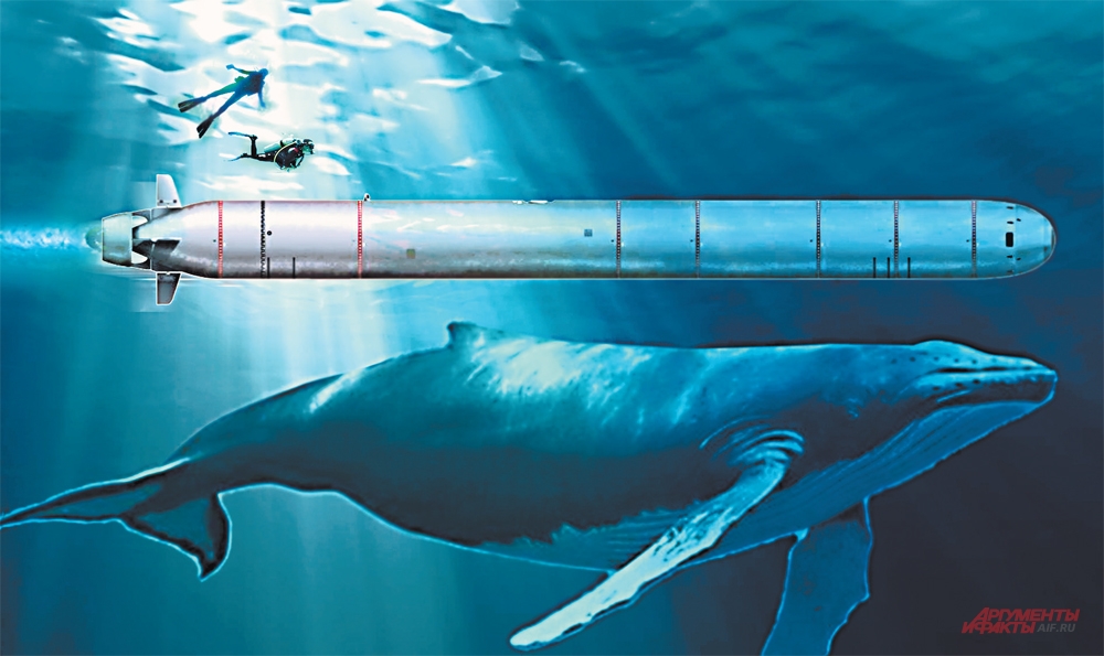 «Посейдон» тяжелее стандартной торпеды в 30 раз, а его длина сравнима с длиной синего кита – самого крупного животного в мире.