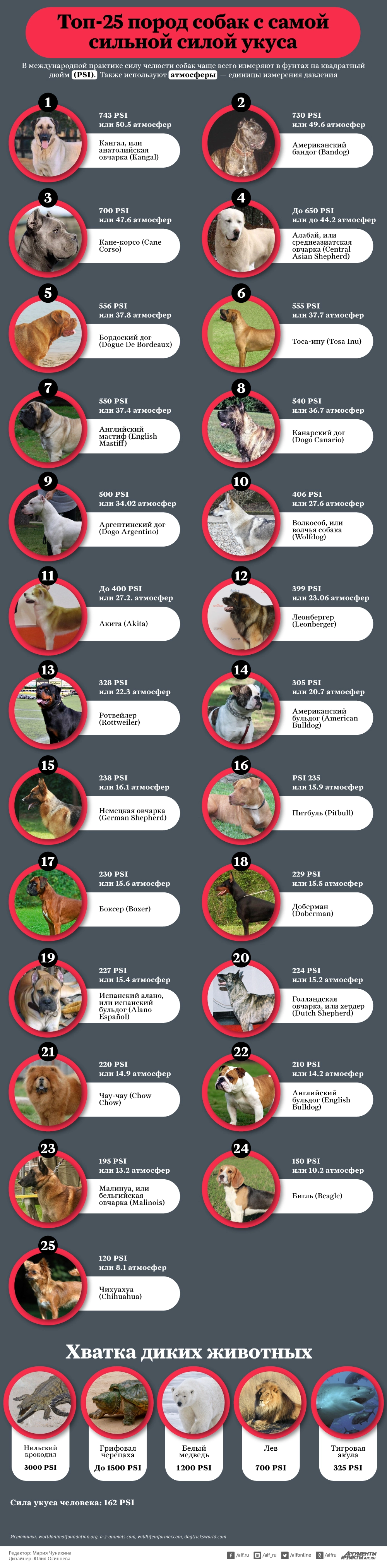 Нажмите для увеличения