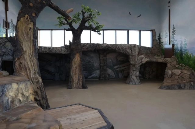 Амурские тигры, Басур и Саяна, Казань