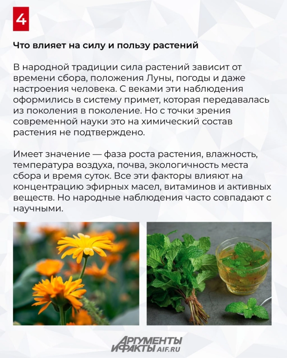 Картинки в дачу,