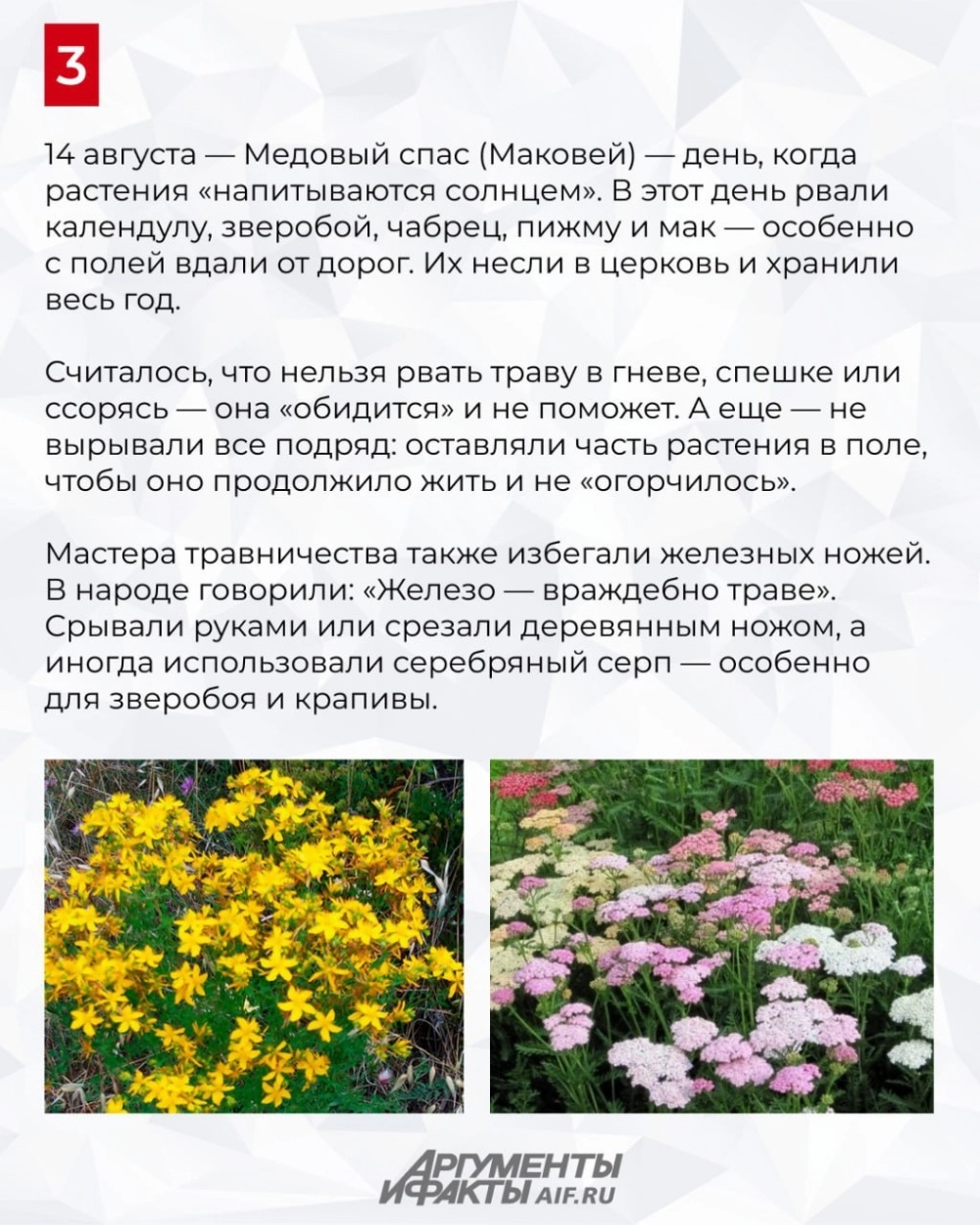 Картинки в дачу,
