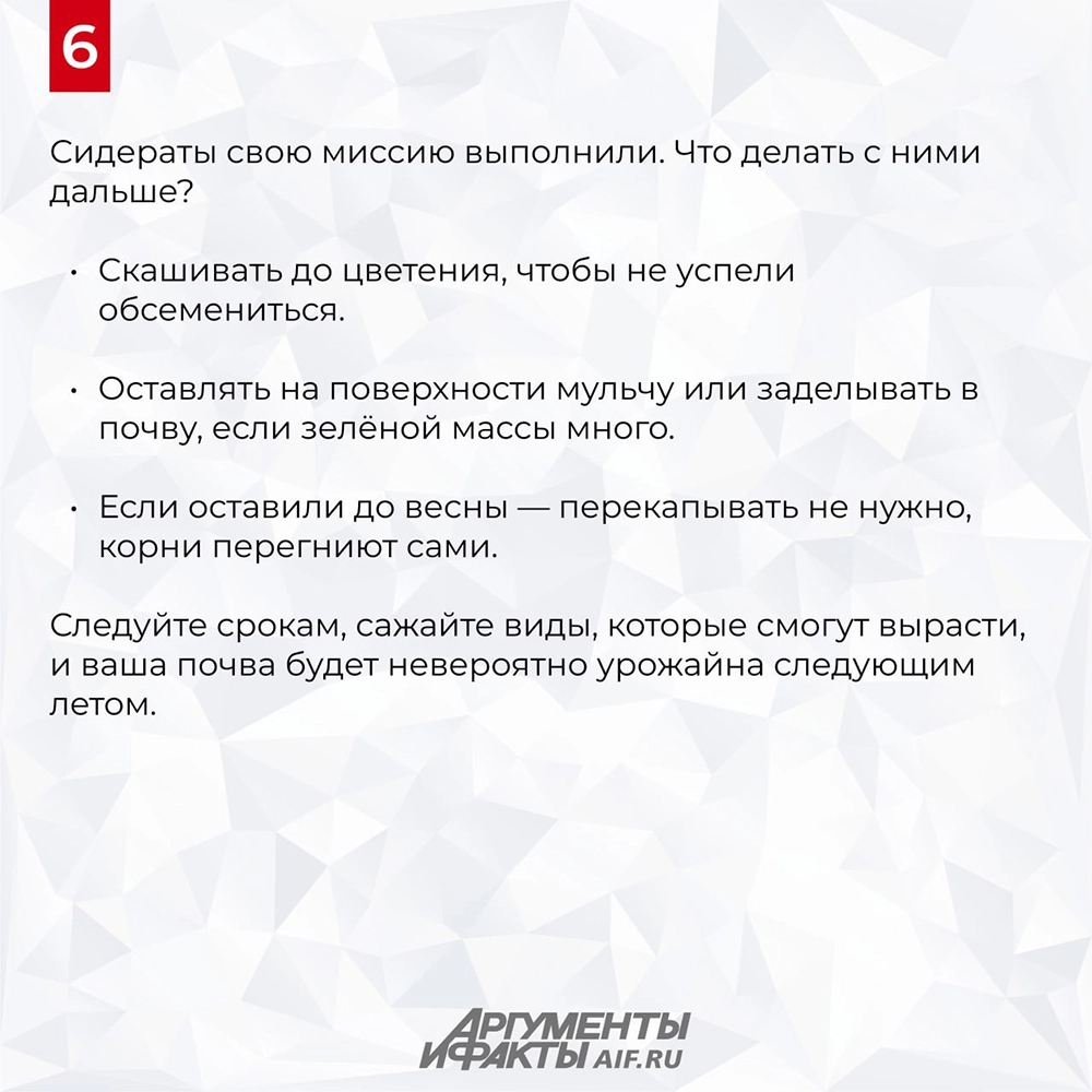 сидераты