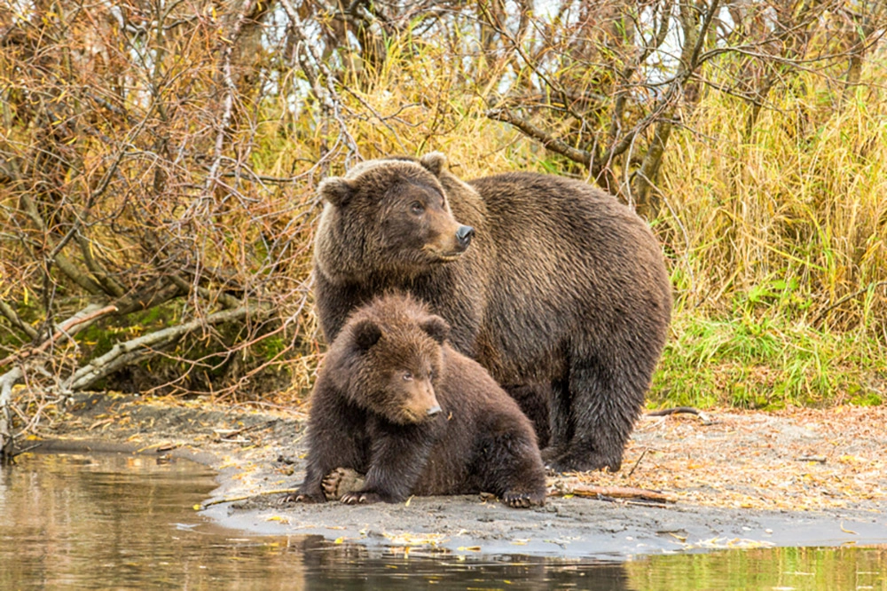 Особенность набора веса.
