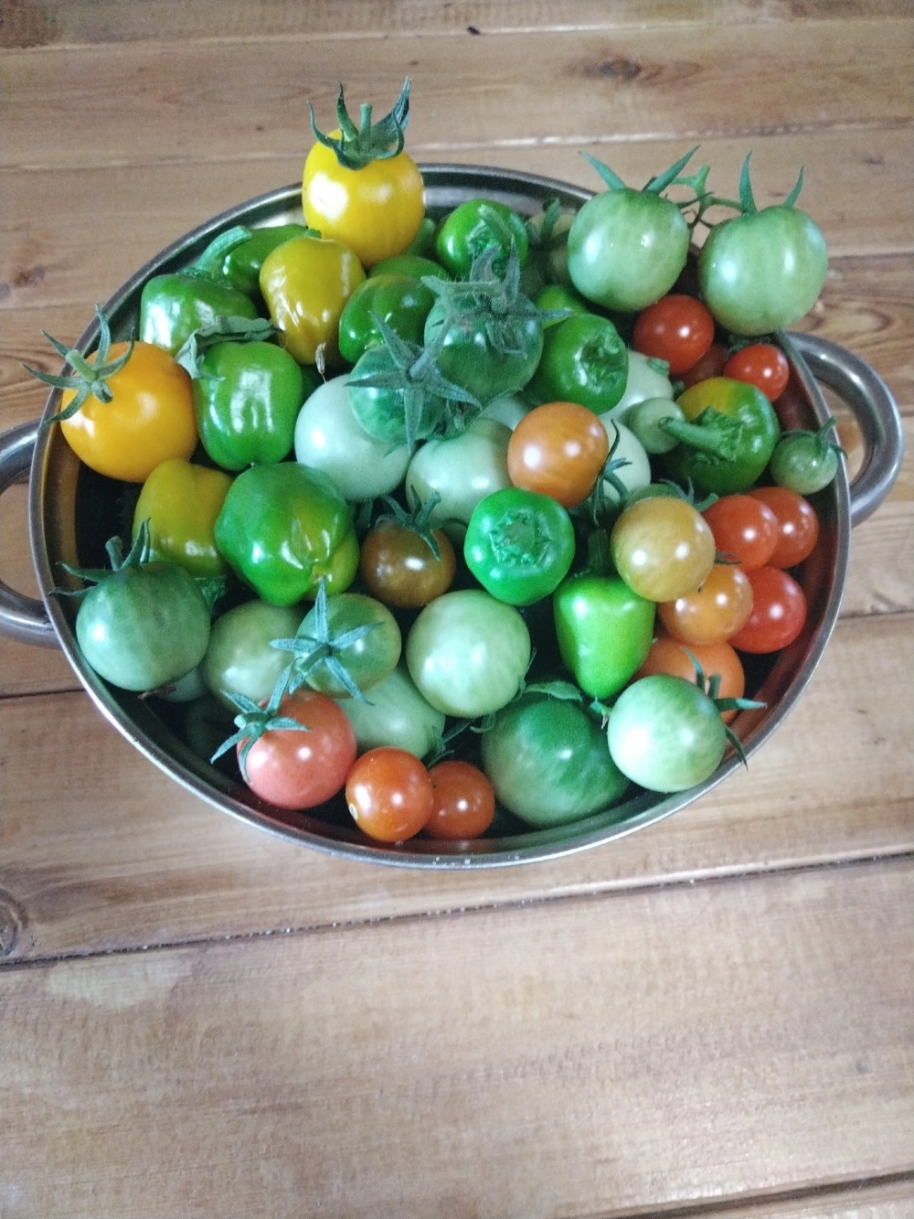 Семья уже привыкла ко вкусу своих помидор и перцев черри.