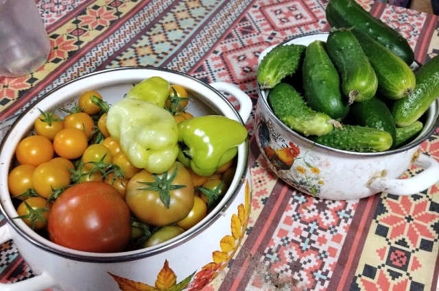 Выращенный своими руками урожай особенно радует глаз.