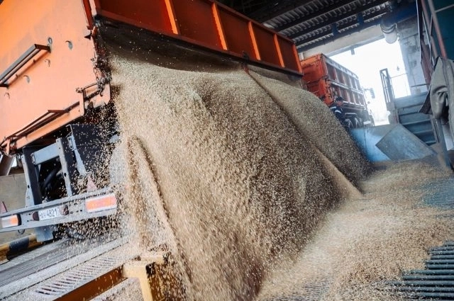 Пшеничные отруби стали ведущим экспортным сырьём.
