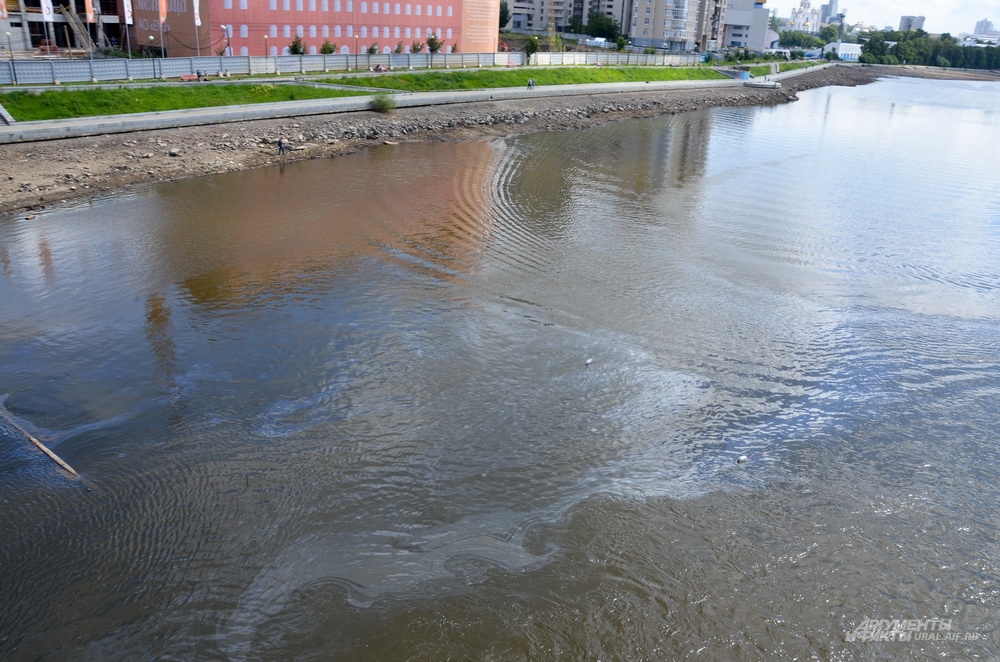Маслянистое пятно на городскому пруду у Макаровского моста.