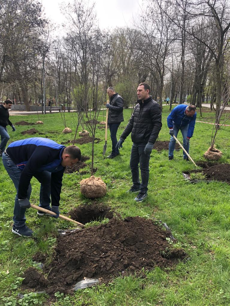 аллея транспортников