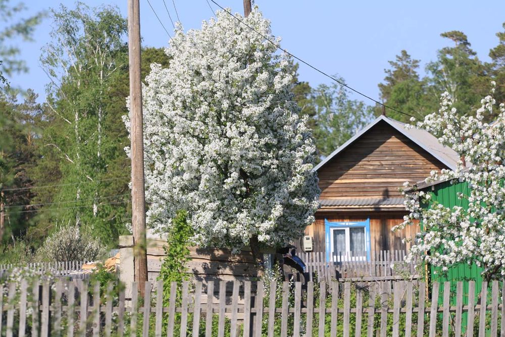 Село Клепиково.