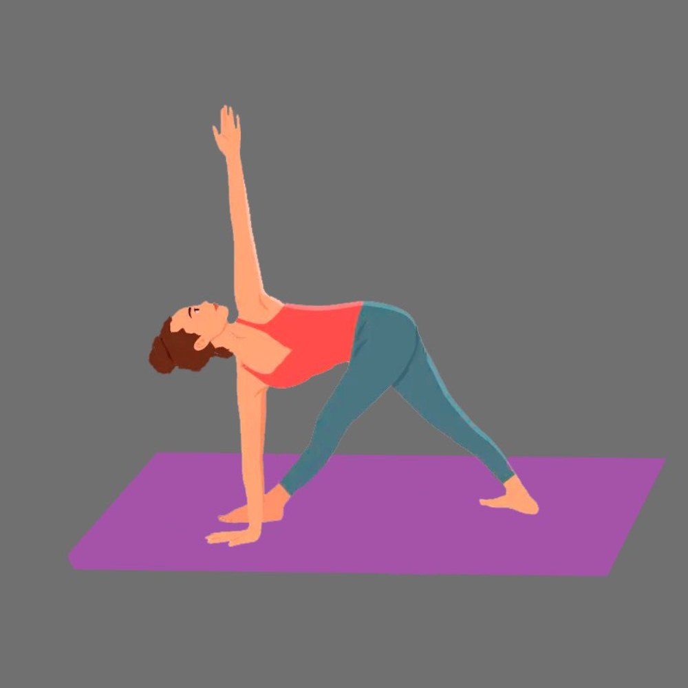 10 асан из йоги для начинающих — пошаговая инструкция