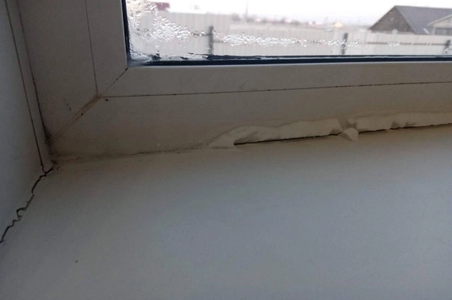 Плесень появилась даже на оконных рамах 